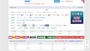 秒收录软件seo 优化