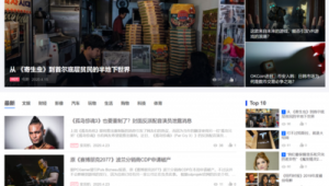 寄生虫站群系统（寄生虫口工）