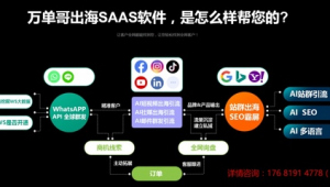站群seo怎么做（站群营销是什么意思）