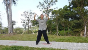 名师站桩教学（中医养生站桩视频）