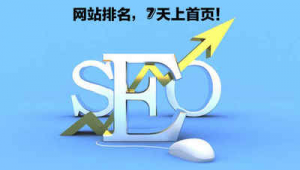 seo网站推广软件 快排