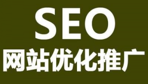 网站优化推广软件下载（网站优化推广软件推荐）
