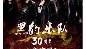 黑豹vpz（黑豹团队）