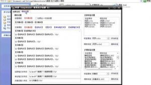 龙少泛解析站群程序