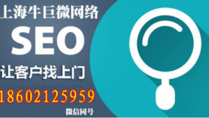 站群盈利模式（站群效果怎么样）