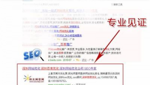360网络seo（360网站推广有用吗）