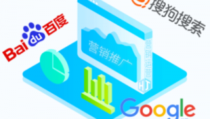 丽水百度整站优化服务_丽水网络推广公司