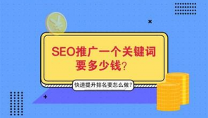 浙江seo排名优化软件有哪些（浙江seo排名优化软件公司）