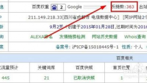 站群排名技术（站群关键词排名代做）