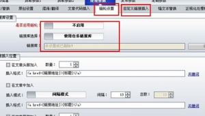 站群链轮怎么做