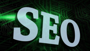 快速seo教程技术（seo快速排名软件推荐）