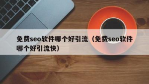 seo引流营销推广（seo引流怎么做）