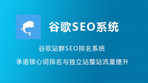 谷歌站群（google推广平台怎么做）