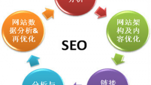 刷seo软件app（seo快速优化软件哪家好）