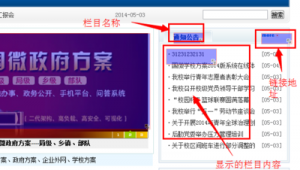 站群栏目名称