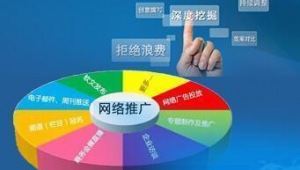 廖嘉晨站群营销