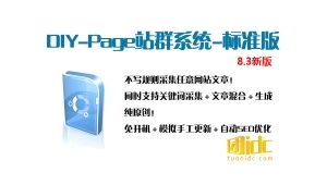 diy page站群软件