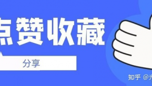 站群 知乎