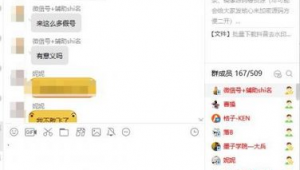 站群服务器（站群程序）