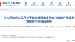 站群现在还有效果吗（站群效果怎么样）