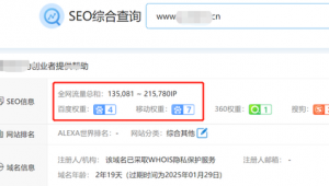 做站群优化赚钱吗是真的吗（站群优化原理）