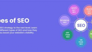 seo免费优化软件（seo排名优化软件有）