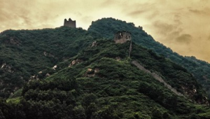 山东烽火台站群号是多少（山东烽火科技有限公司）