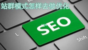 群排名优化是什么（群排名优化软件）