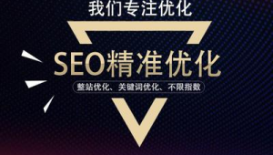 沧州网站优化公司（沧州网站seo公司）