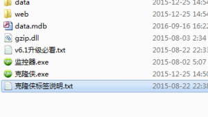 智能侠泛目录站群