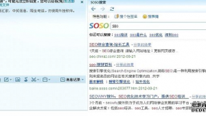 黑豹组队（黑豹团伙）