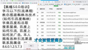 seo黑帽教程（黑帽门app）