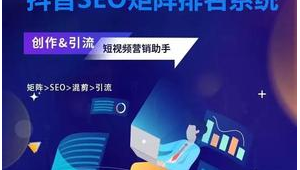seo网站排名优化软件是什么（网站seo软件能优化）