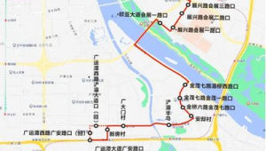 站群服务器搭建的独立ip网络（站群服务器搭建红龙）