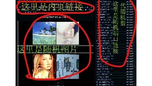 拼音群名称（拼音qun）
