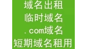 站群域名出售（域名服务器租用）