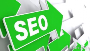 seo软件怎么使用视频教程（seo_ru）