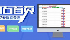 万词霸屏软件seo平台