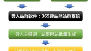 站群软件哪个好（站群管理软件）
