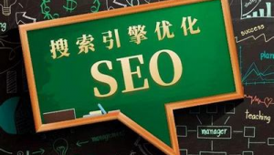 seo软件推广引流怎么做（seo引流营销推广）