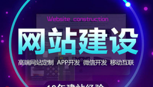 2021站群程序（站群排名技术）