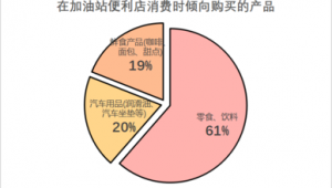 加油站顾客群分析报告（加油站主要客户群体）