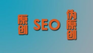 蜘蛛seo推广软件有哪些（seo功能蜘蛛屯）