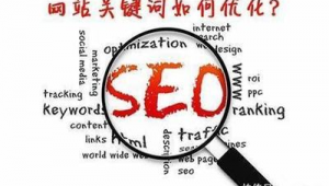 seo推广软件哪个好（seo推广软件报价）