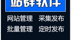 站群软件排名（站群系统哪个好用）