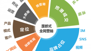 站群盈利模式（站群项目）