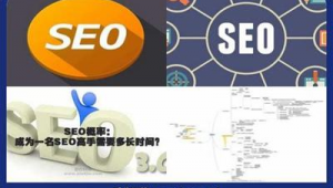 宁波seo是什么软件公司（宁波seo服务）