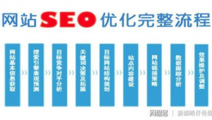 站群 引流 效果（什么网站可以引流）