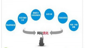 站群优化公司（站群策略）