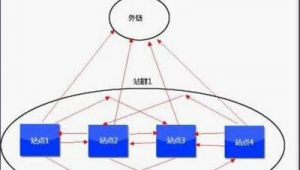 2021站群程序（2020站群软件）